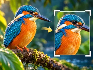 A kingfisher photograph prepared in full and cropped versions.
